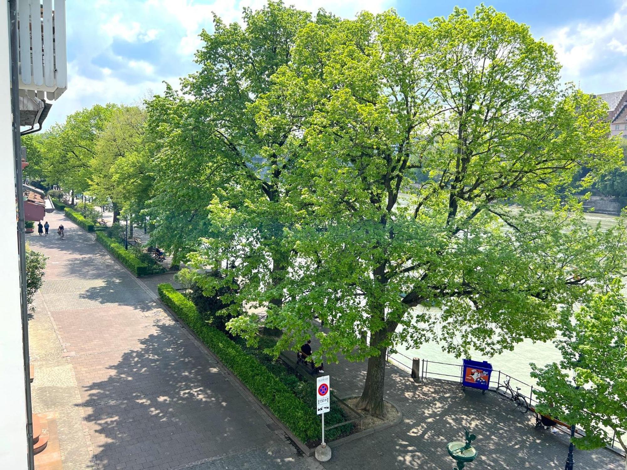 Riverside Basel Dış mekan fotoğraf